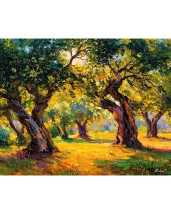 GREEK OLIVE GROVE