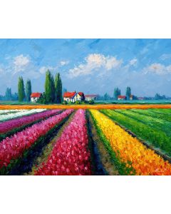 DUTCH TULIP FARM