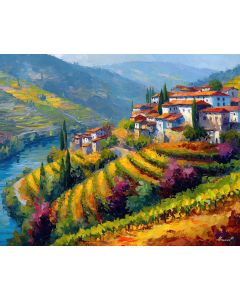 DOURO VALLEY VINES
