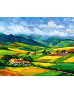 BRAZILIAN FARM FIELDS