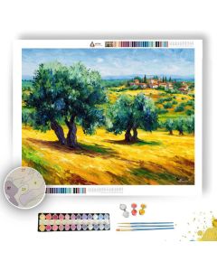 UMBRIA OLIVE GROVES - Paint by Numbers Full Kit
