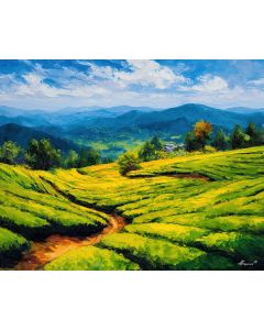 JAPANESE TEA FIELDS