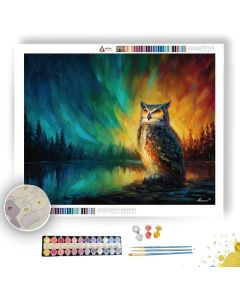 AURORA OWL - Paint by Numbers Full Kit