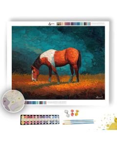 STEADY LINE - Paint by Numbers Full Kit