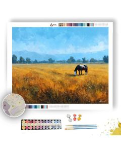STILL OPEN FIELD - Paint by Numbers Full Kit