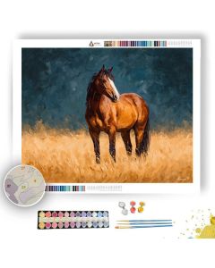 CALM HORSE - Paint by Numbers Full Kit