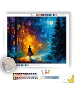 VEILBOUND WANDERER - Paint by Numbers Full Kit