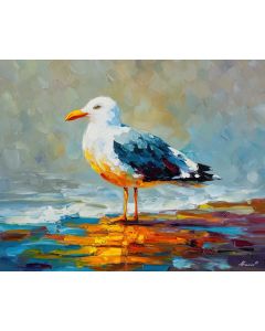 COASTAL SEAGULL