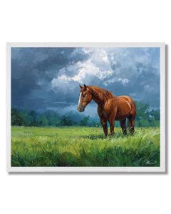 CALM HORSE FIELD - FRAMED