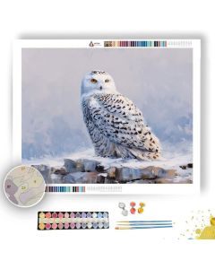 SILENT SNOWY OWL - Paint by Numbers Full Kit
