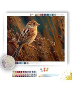 FIELD SPARROW - Paint by Numbers Full Kit
