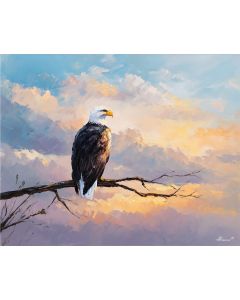 OPEN SKY EAGLE