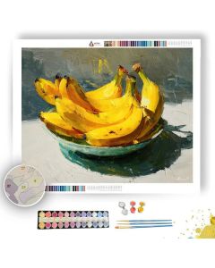LUMINOUS ECHOING - Paint by Numbers Full Kit