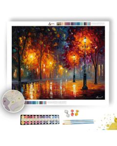 SOFT FIRE SHADOWS - Paint by Numbers Full Kit