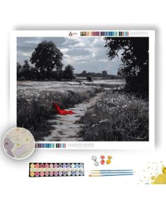 FIELD PATH WITH SCARLET CLOTH B&W - Paint by Numbers Full Kit