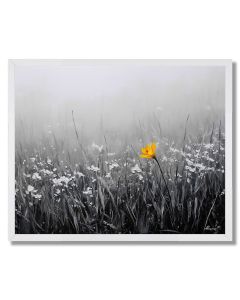 FOG MEADOW WITH SAFFRON FLOWER B&W - FRAMED