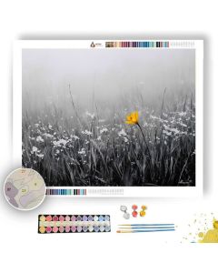 FOG MEADOW WITH SAFFRON FLOWER B&W - Paint by Numbers Full Kit