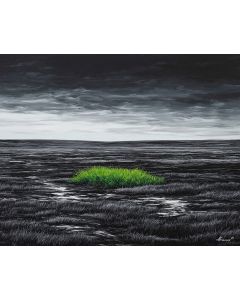 OBSIDIAN FIELD WITH EMERALD GRASS B&W