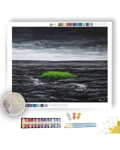 OBSIDIAN FIELD WITH EMERALD GRASS B&W - Paint by Numbers Full Kit