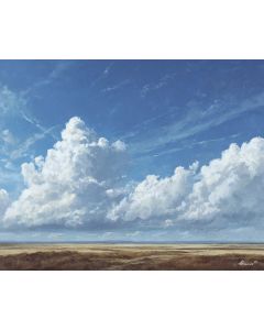 PALE SKY PLAIN