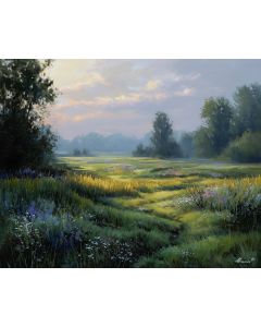 STILL MEADOW MORNING