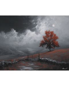 STILL WORLD WITH ONE COLOR