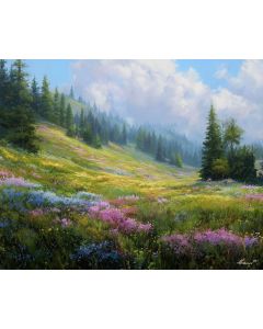 BRIGHTSKY MEADOW RIDGE
