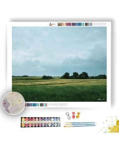 FIELD UNDER PALE SKY - Paint by Numbers Full Kit