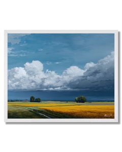 LOW CLOUD FIELD QUIET - FRAMED