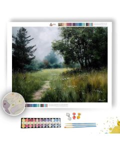 MEADOW WITH FAINT PATH - Paint by Numbers Full Kit