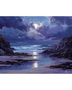 MIDNIGHT COAST STILL
