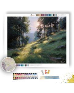 SOFT LIGHT HILLSIDE - Paint by Numbers Full Kit