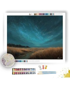 STARTRACE FIELD - Paint by Numbers Full Kit