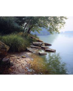 WATERLINE STILL MORNING