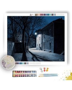 BLUE NIGHT SHADOW - Paint by Numbers Full Kit