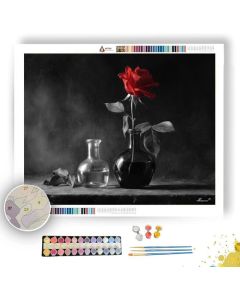RED ROSE STILLNESS B&W - Paint by Numbers Full Kit