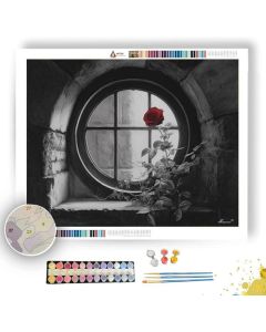 RED ROSE WINDOW B&W - Paint by Numbers Full Kit