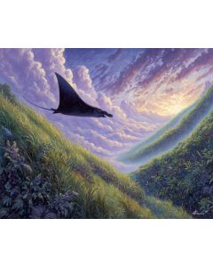 SKYFALLOW MANTA RIDGE