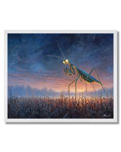 SUNMANTIS FIELD EDGE - FRAMED