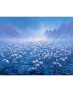 FROSTBLOOM FIELD