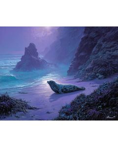 TIDESHARD SEAL COAST