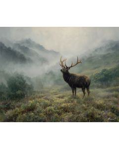 MISTHORN ELK LOWLAND