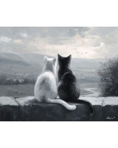 CALM EMBRACE B&W