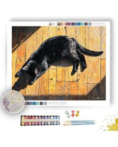CALM OUTLINE - Paint by Numbers Full Kit