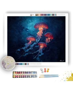 STRANGE PLANE - Paint by Numbers Full Kit