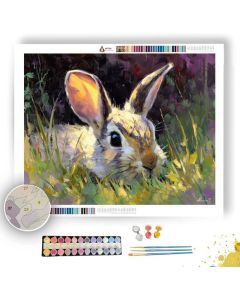QUIET GAZE - Paint by Numbers Full Kit