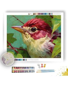 WARM DETAIL - Paint by Numbers Full Kit