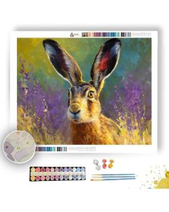 OPEN GAZE - Paint by Numbers Full Kit