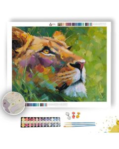 QUIET FOCUS - Paint by Numbers Full Kit