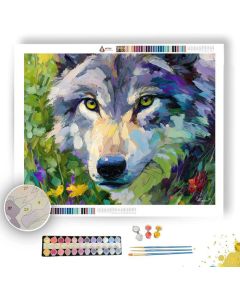 RADIANT GAZE - Paint by Numbers Full Kit